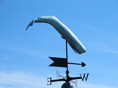 Sky whale north photo