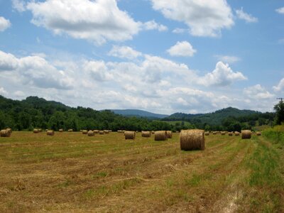 Harvest agriculture straw