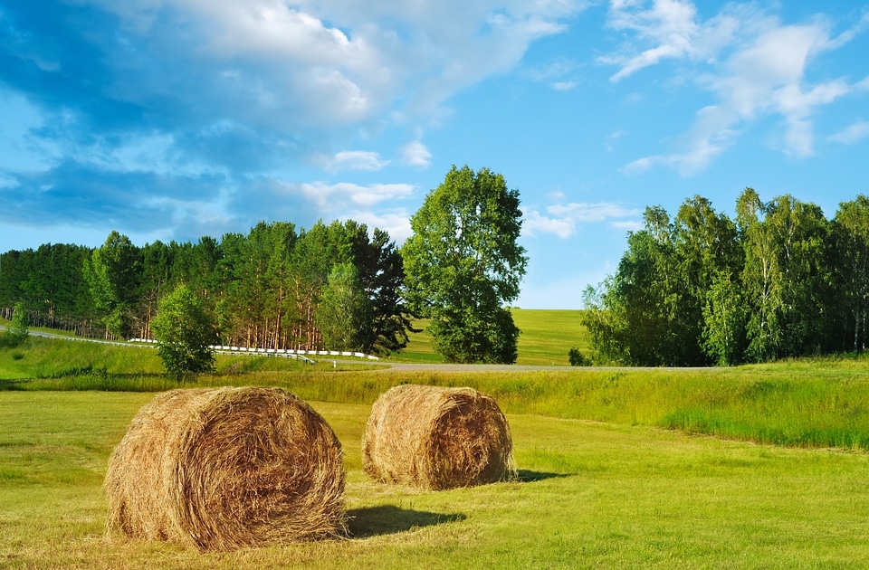 Farmers farming nature
