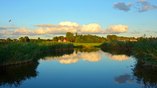 Rushes houses clouds