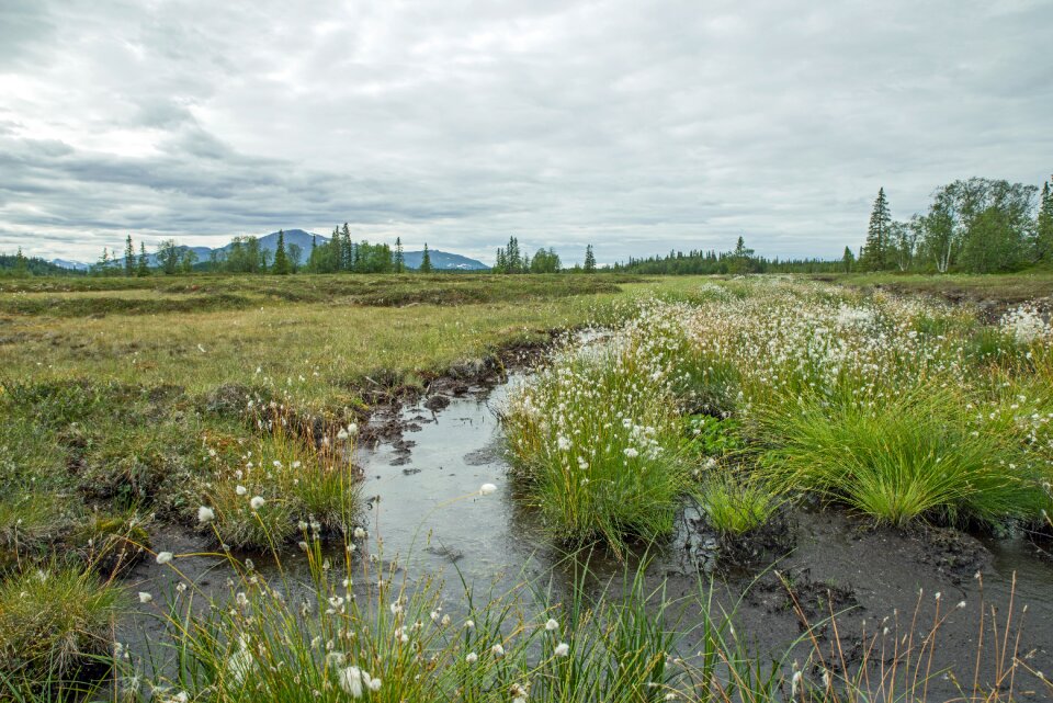 Landscape nature wide