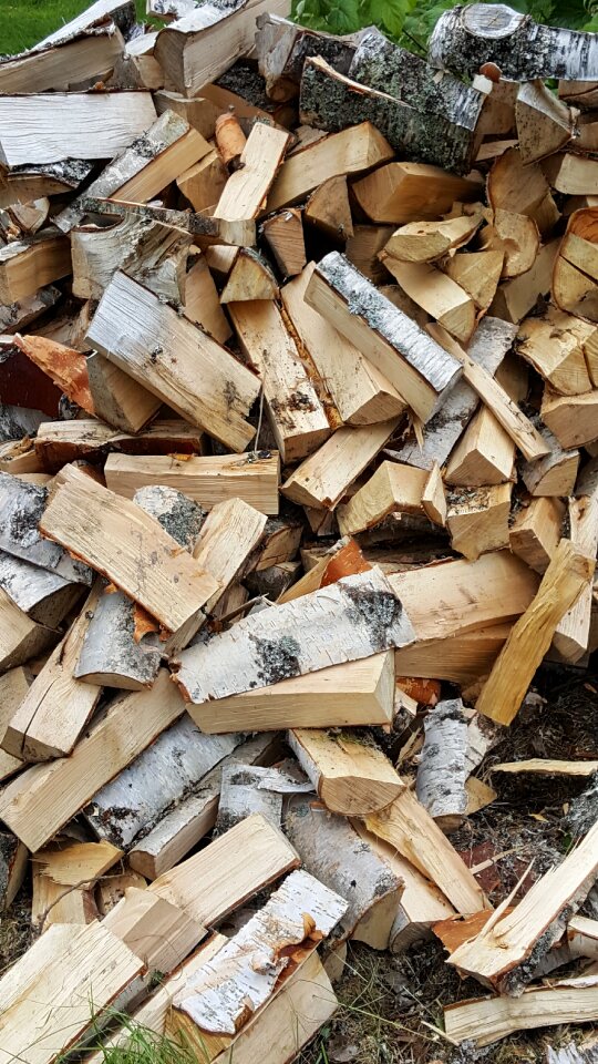 Wood birch high