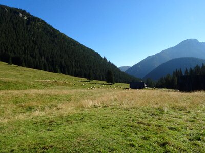 The national park poland nature