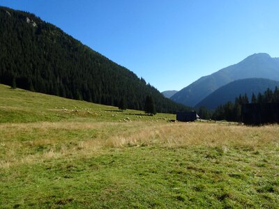 The national park poland nature photo