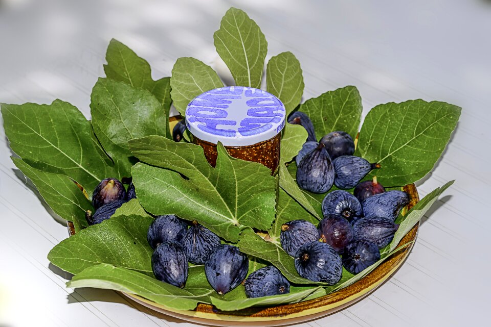 Fruit false fruit soft