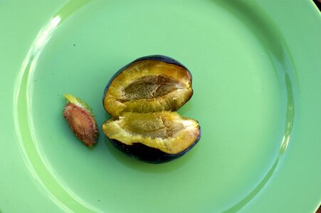 Autumn raw healthy