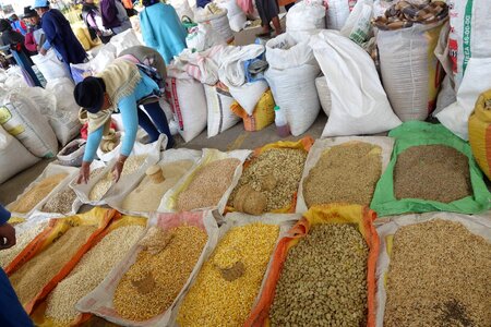 Seeds spices bags