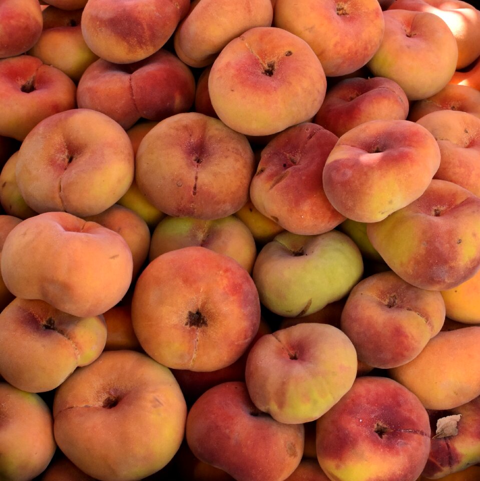 Food fruits healthy