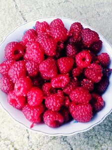Lean fresh ripe fruit