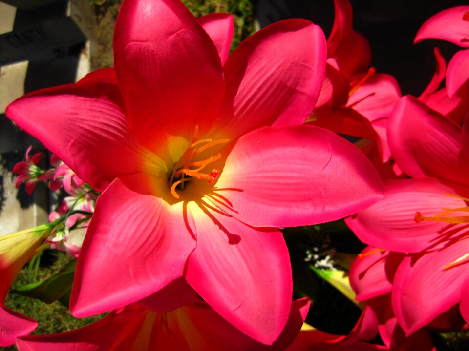 Lilly floral bouquet