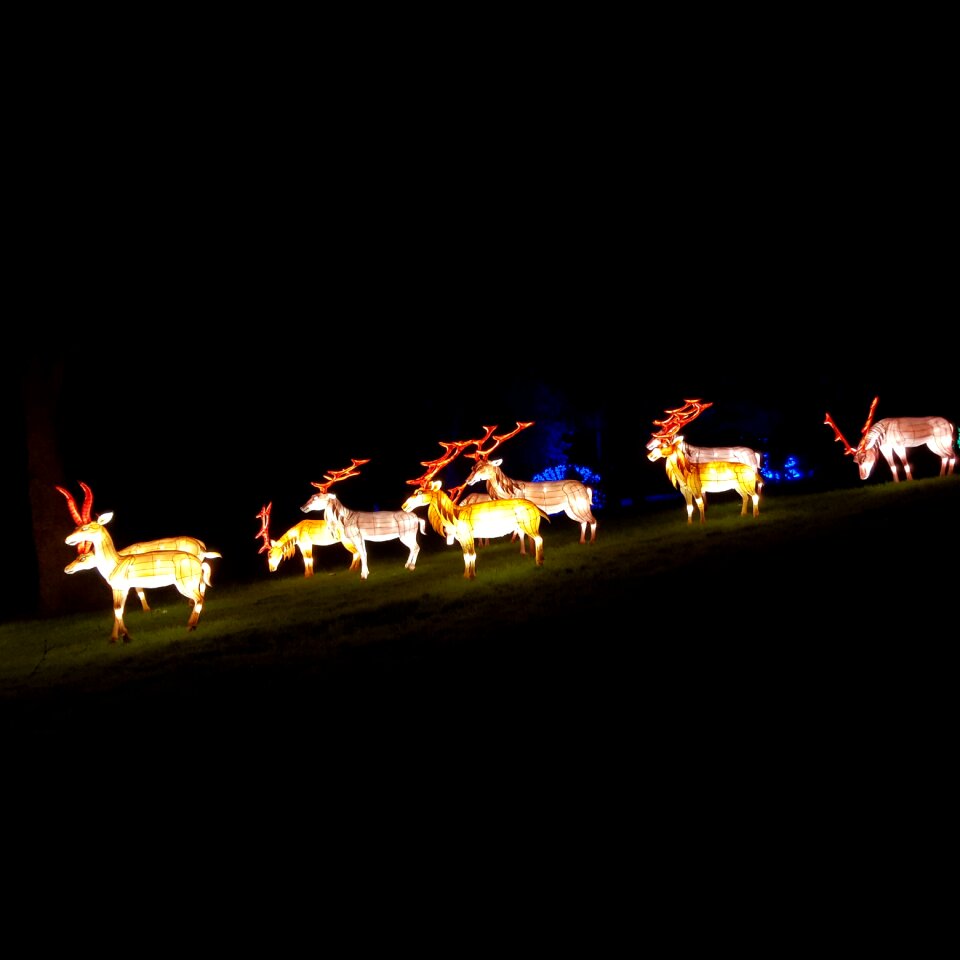 Decoration light decorative