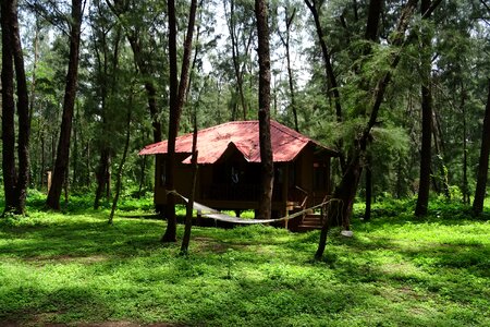 Wooden forest lodge photo