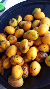 Manguita ripe fruit healthy