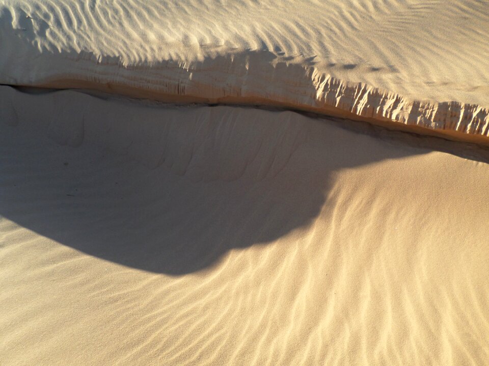 Dunes desert sand dunes