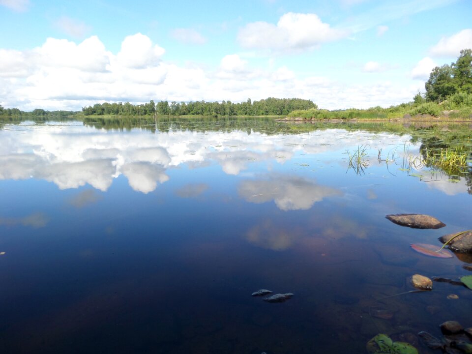 Calm summer sweden