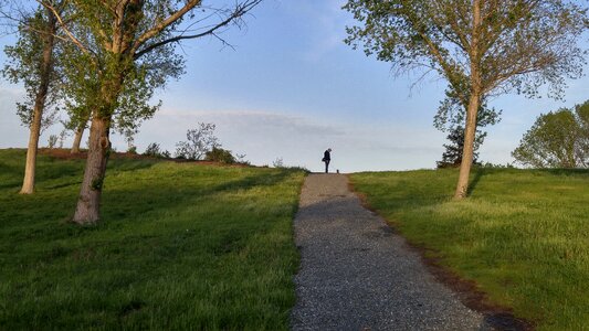 Path man walking dog photo