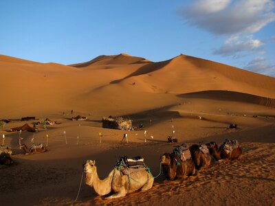 Morocco dune desert photo