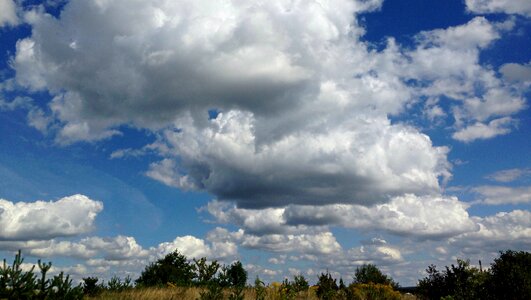 Blue sky rams landscape