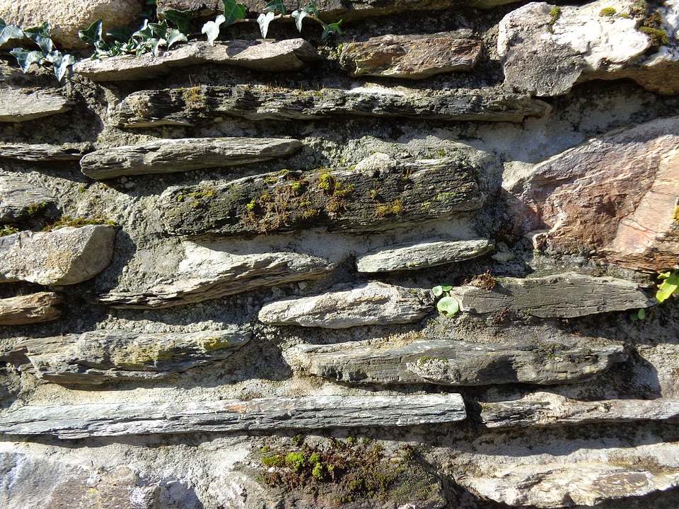 Texture background organic
