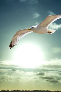 Air clear blue sky landscape