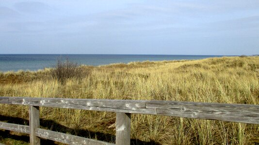 Water summer baltic sea