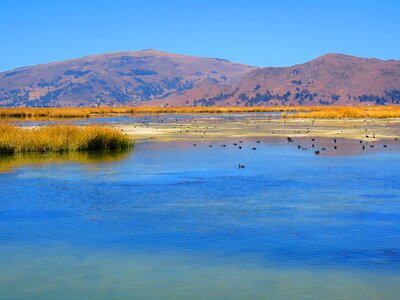 Water peru lake titicaca photo