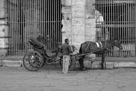 Rome horse carriage