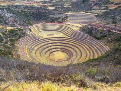 Agriculture terraces peru