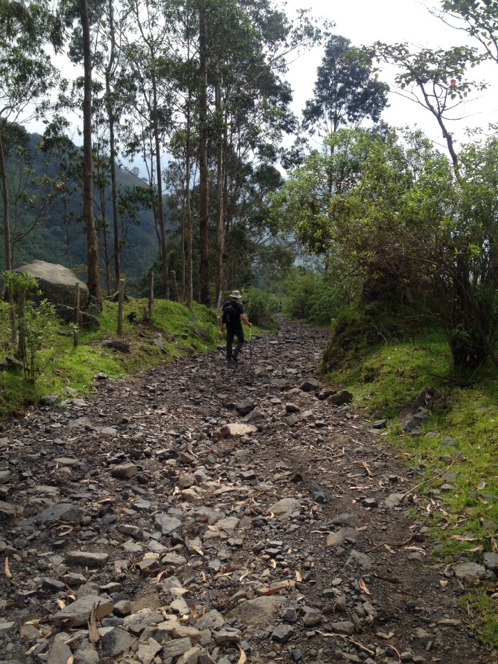Walk nature walker