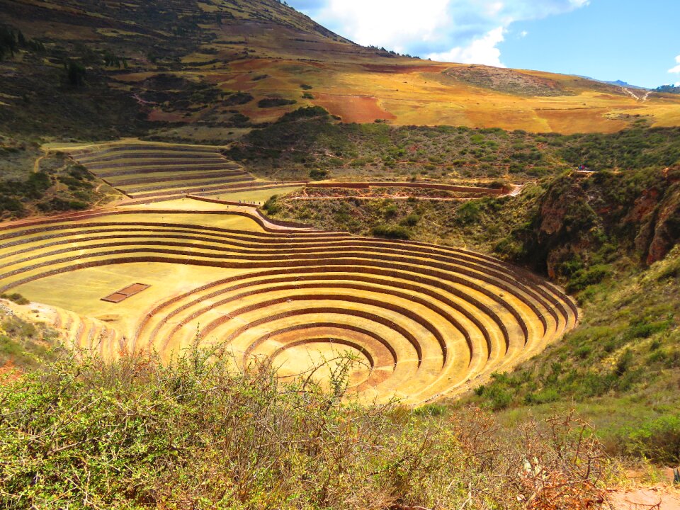 Agriculture terraces peru