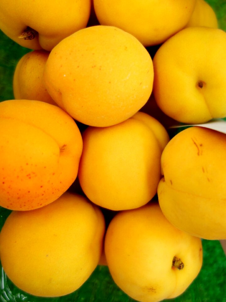 Apricot apricots yellow