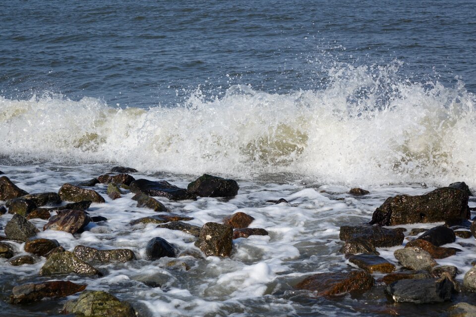 Surf coast nature