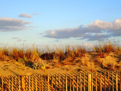 Beach sand atlantic coast photo