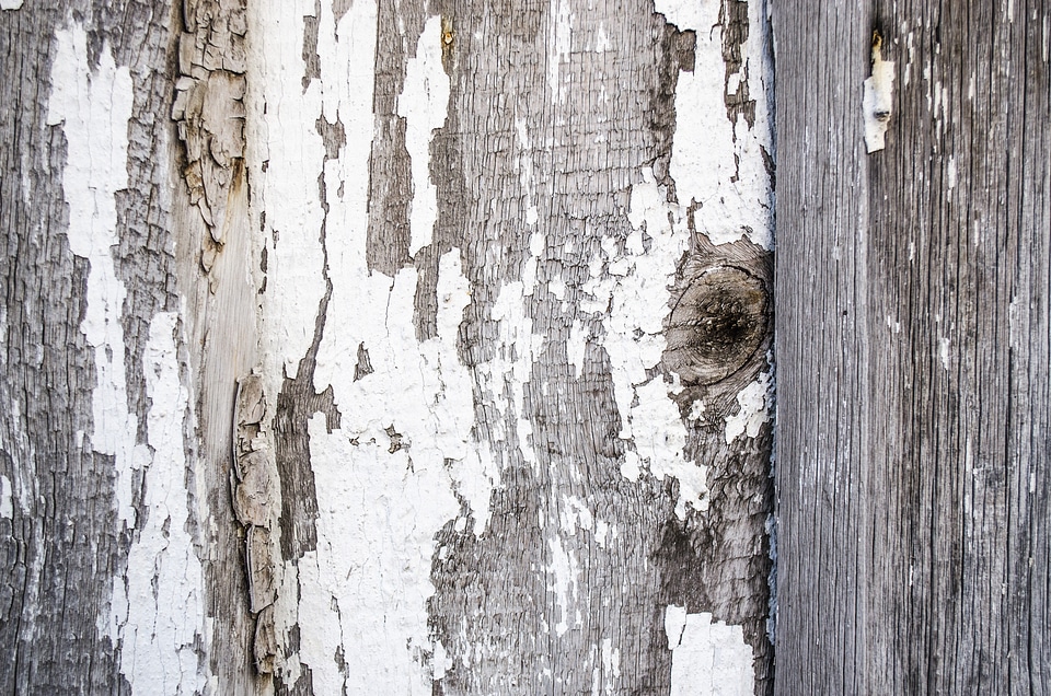 White board white boards of wood photo