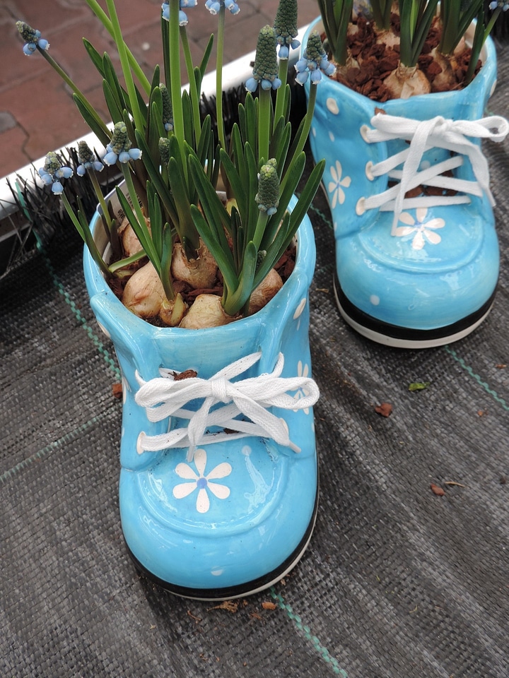 Garden spring summer