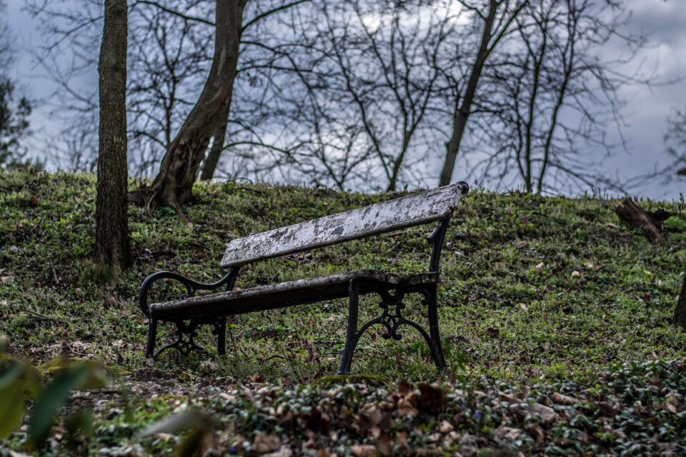 Lonely pad in autumn