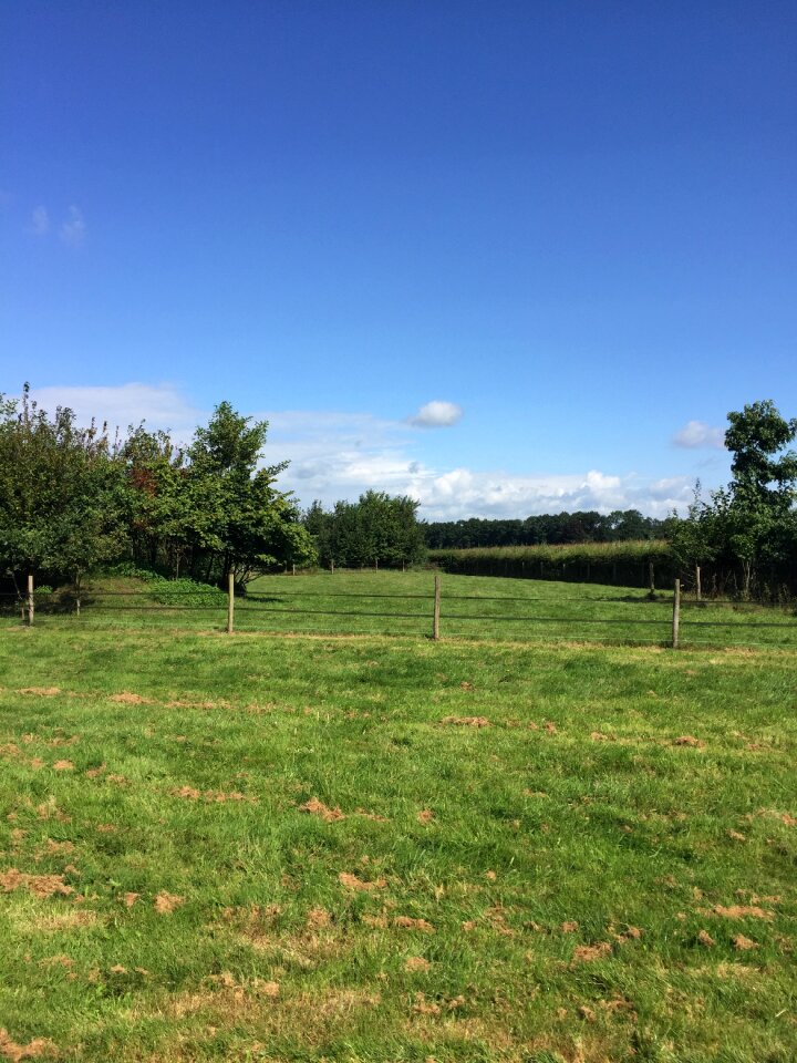Landscape horizon dutch
