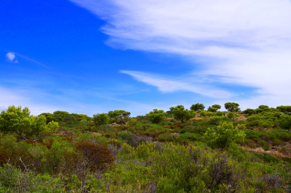Green landscape mediterranean