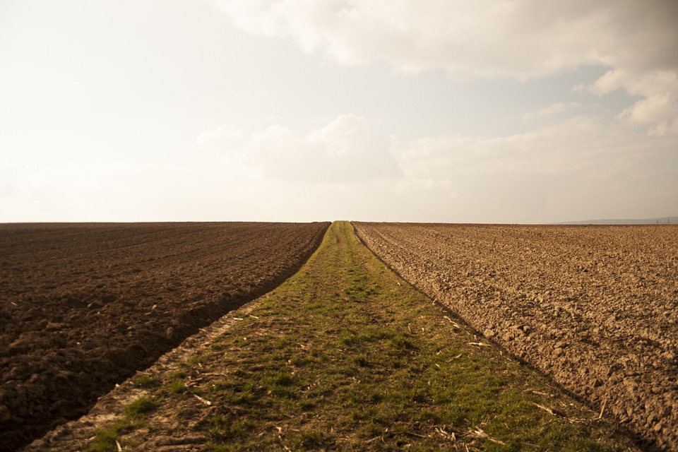 Environment nature landscape