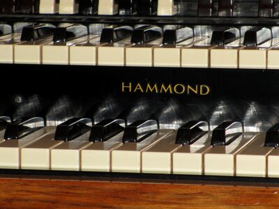 Organ hammond keyboard instrument