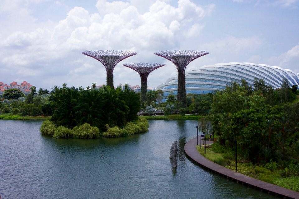 Asia nature plant