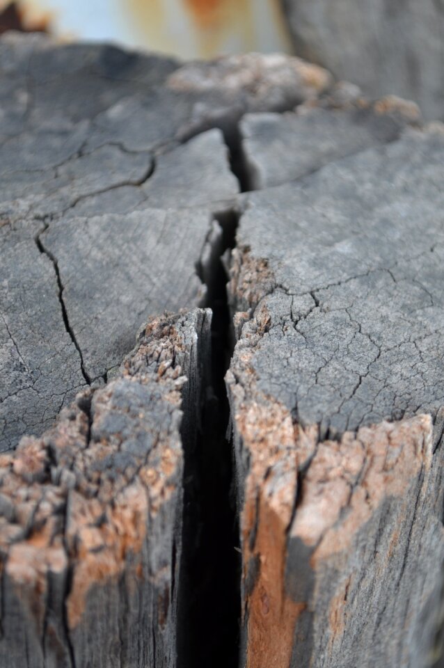 Wood texture detail