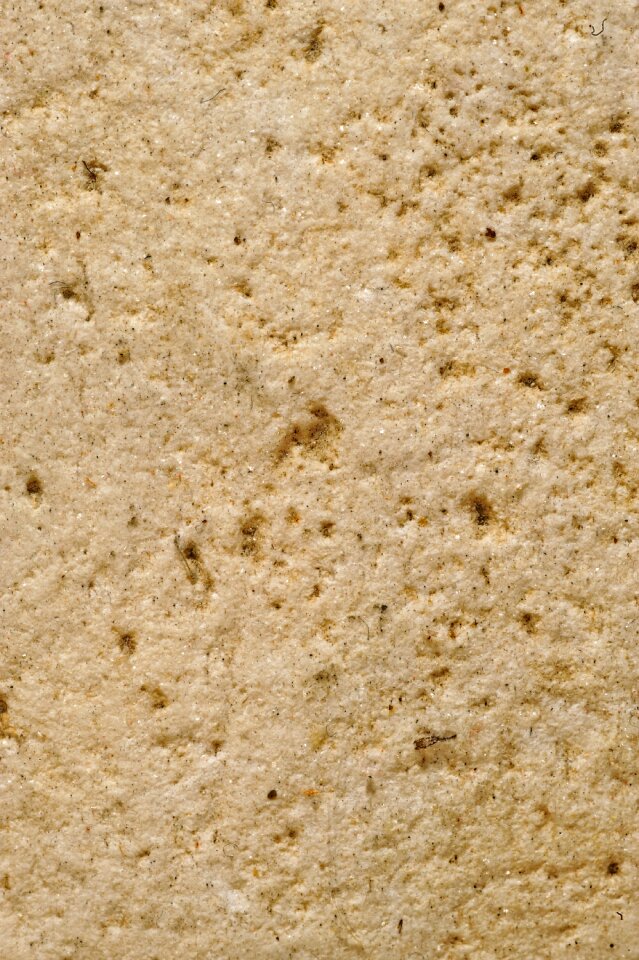 Wall color texture