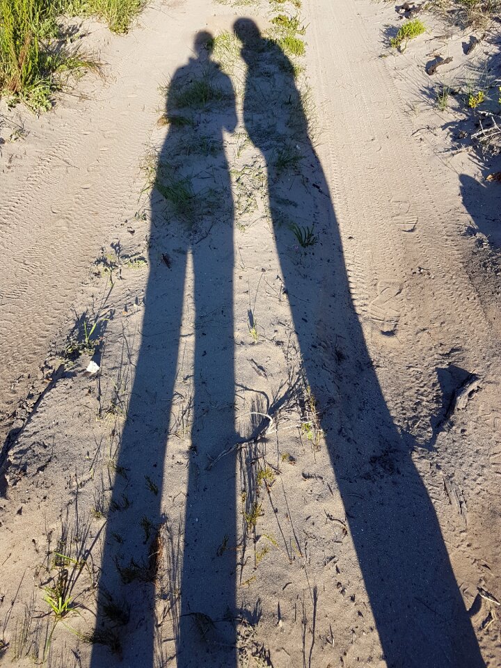 Outdoors shadows sand