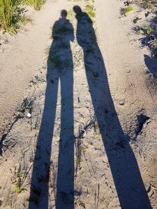 Outdoors shadows sand