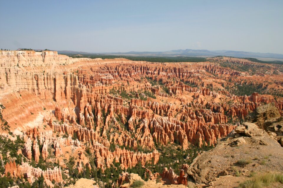 Park nature desert