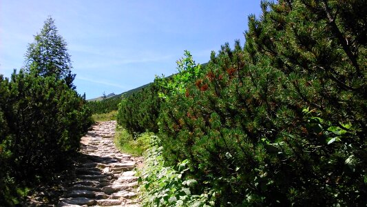 Trail the high tatras poland