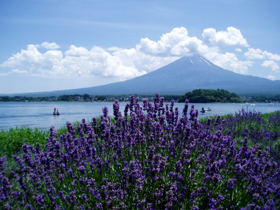 Lake kawaguchi summer blue sky