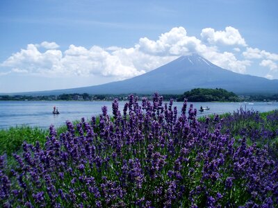 Lake kawaguchi summer blue sky