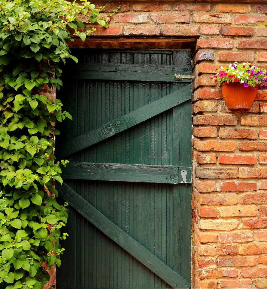 Old door gate entwine